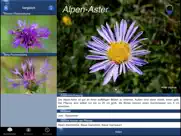 alpenblumen id automatik ipad capturas de pantalla 4
