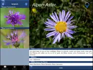 Alpenblumen Id Automatik ipad bilder 3
