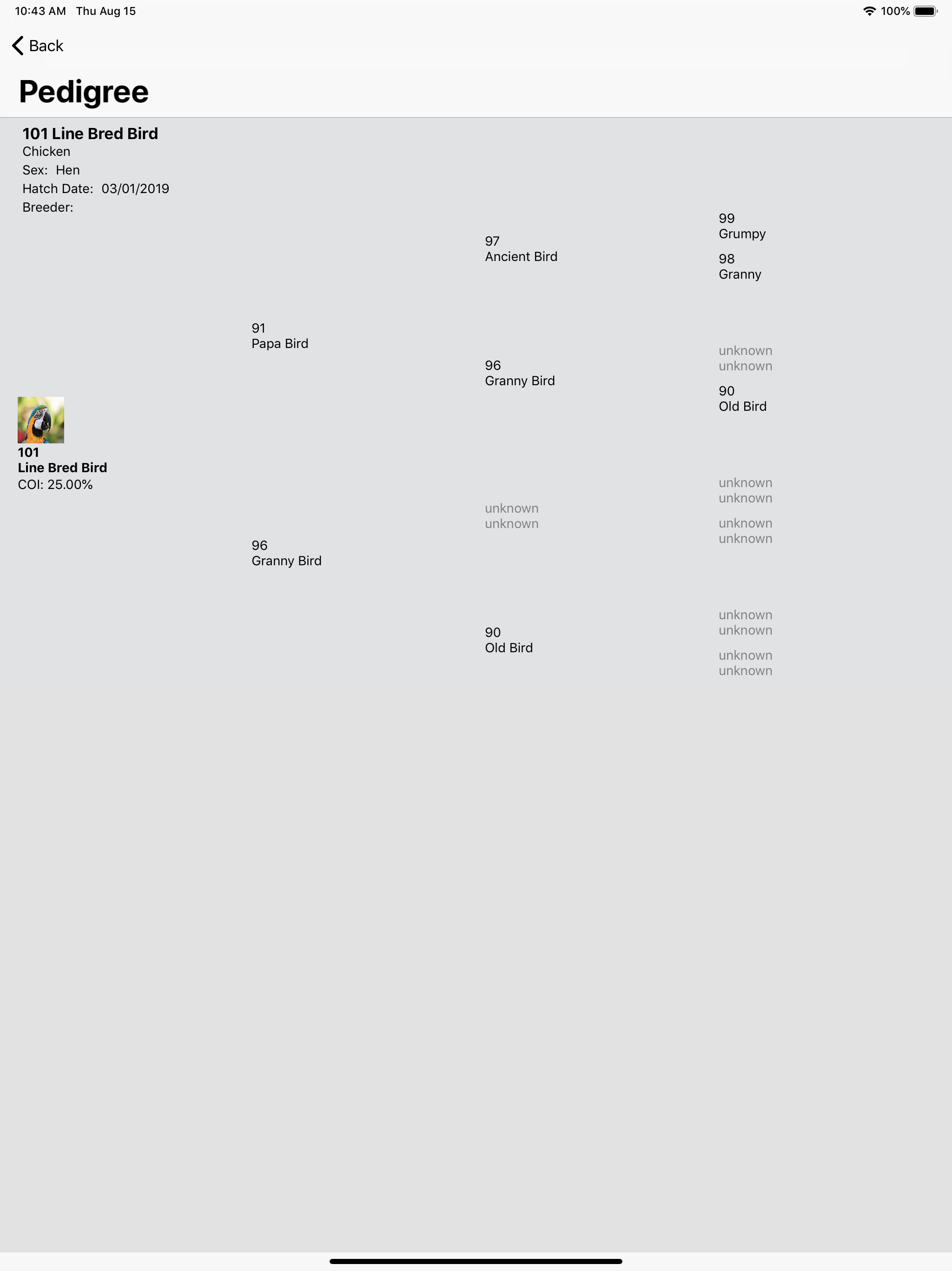 birdBreeder screenshot 13