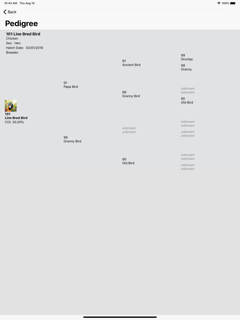 birdBreeder screenshot 13