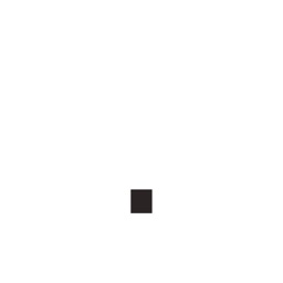 Punkt: One-sentence journal