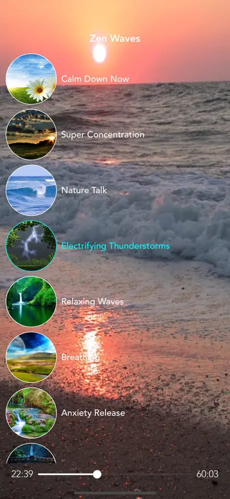Zen Waves - Guided Meditations