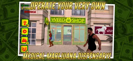 Weed Shop The Game