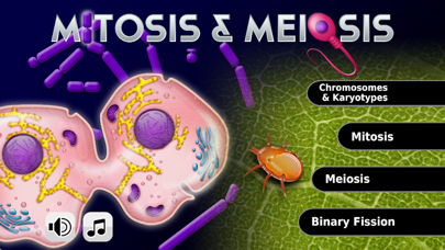 Screenshot #1 pour Biology Mitosis & Meiosis Pro