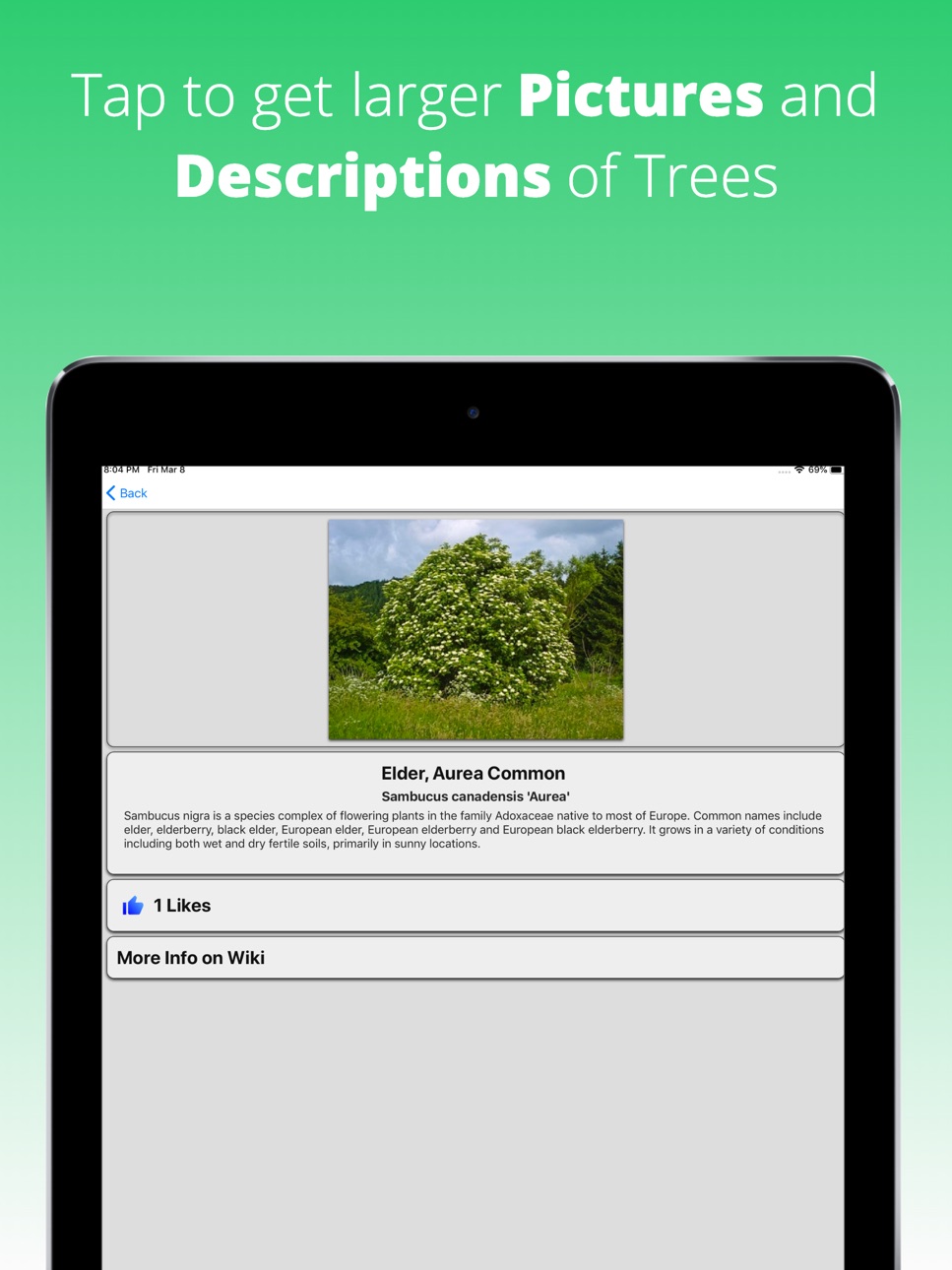 iPad screenshot