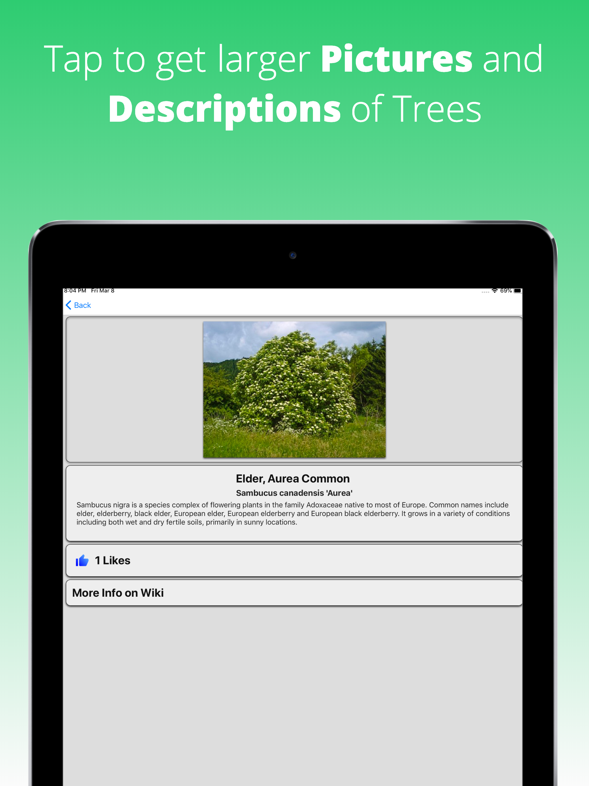 Tree Dictionary