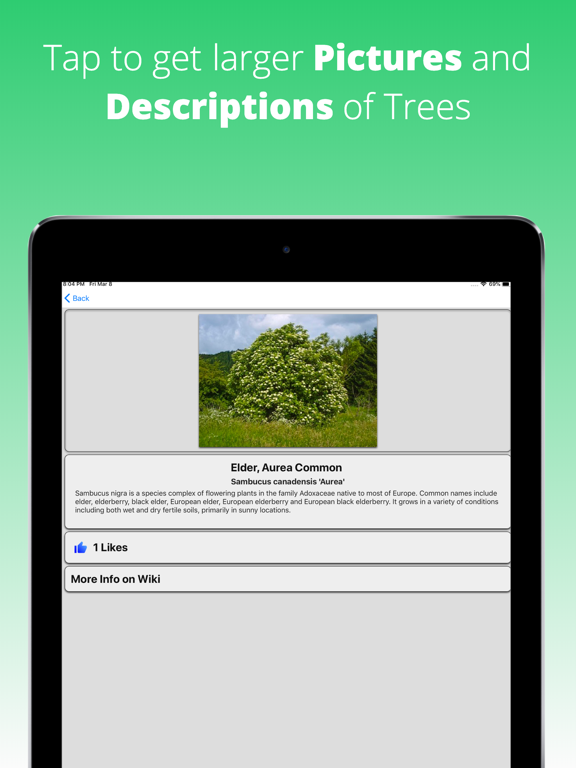 Screenshot #5 pour Tree Dictionary