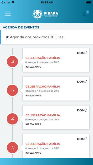 Screenshot #3 pour Portal PIBARA