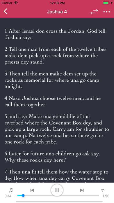 Pidgin Audio Bible Screenshot