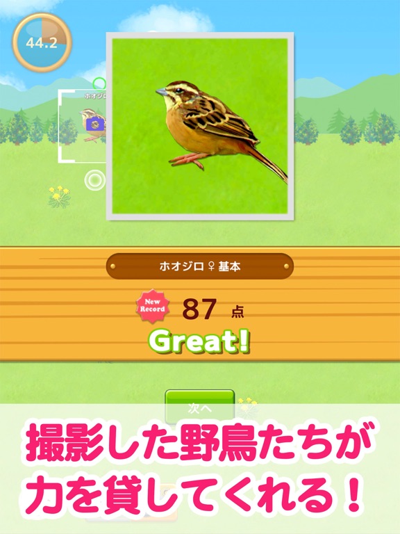 鳥マスター！のおすすめ画像1