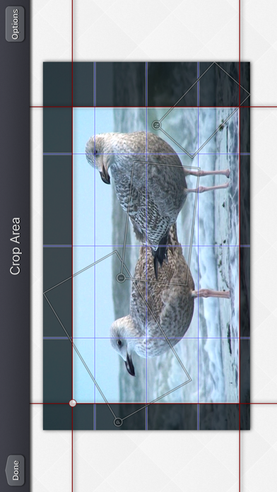 Video Crop & Zoom - HD Screenshot