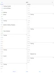 Month View Calendar ipad bilder 1