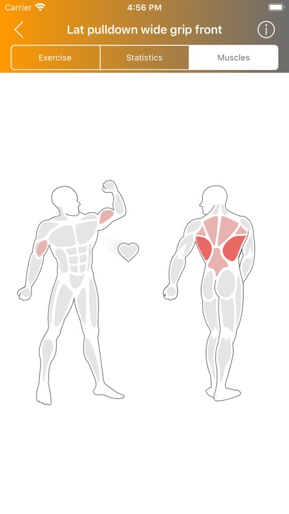 Elevate Fitness App screenshot-3