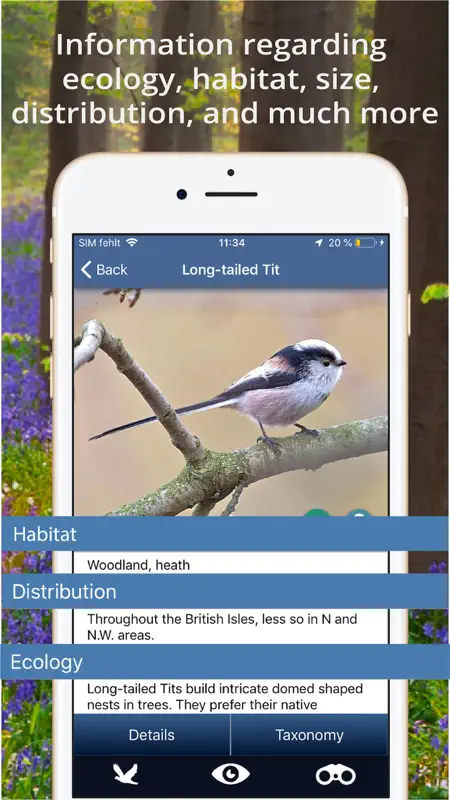 Bird Id - British Isles birds screenshot 6 of 9