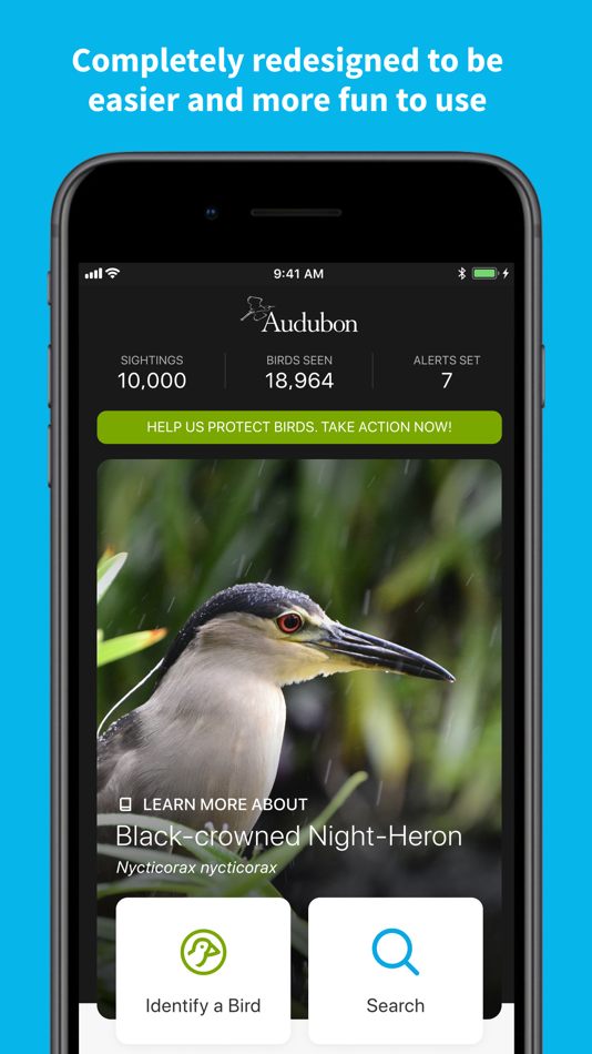 Audubon Bird Guide - 6.7.4 - (iOS)