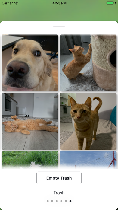 PicDot iPhone screenshot 6 - Photo & Video app