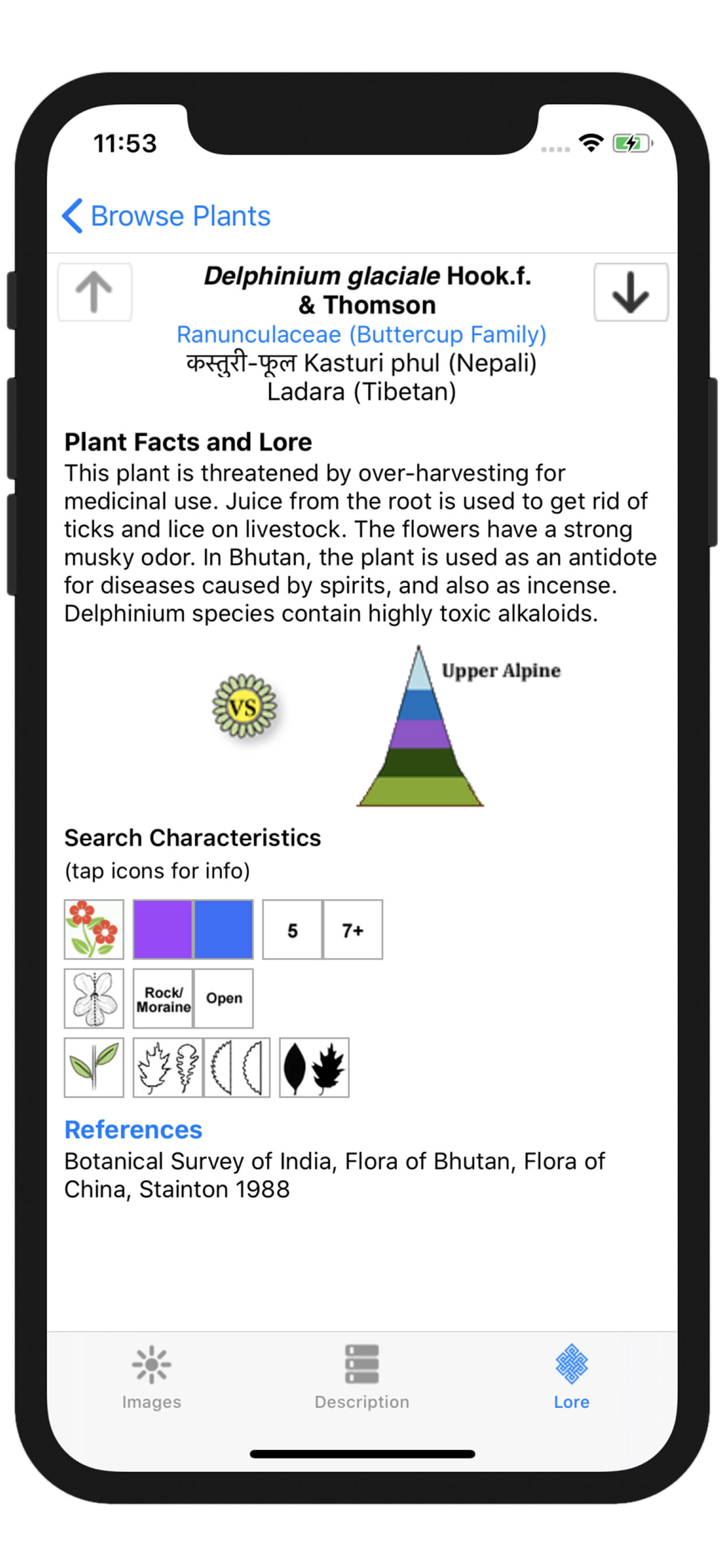 Wildflowers of Mount Everest