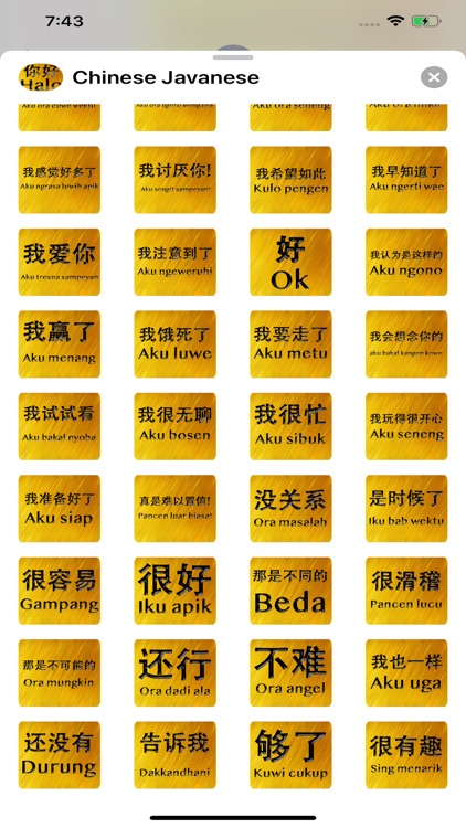 Chinese Javanese screenshot-8