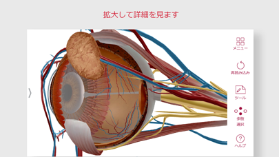 解剖学的構造と生理学スクリーンショット