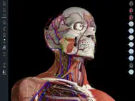 Essential Anatomy 5 ipad bilder 0