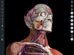 Essential Anatomy 5 iPad image 1