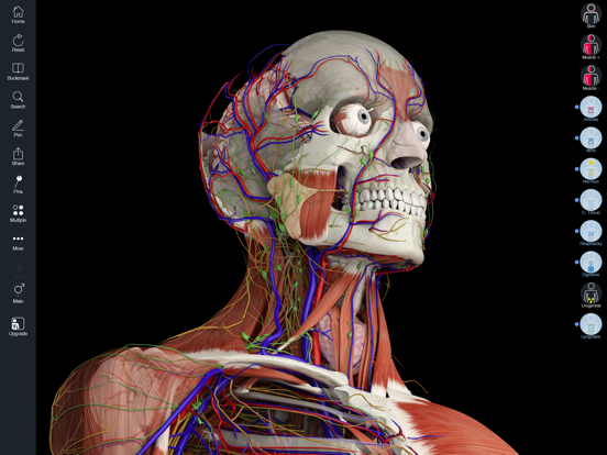 Essential Anatomy 5 iPad app afbeelding 1