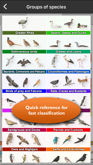 Birds of Europe Guide Screenshot