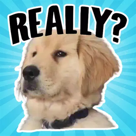 Golden Retriever Stickers Cheats
