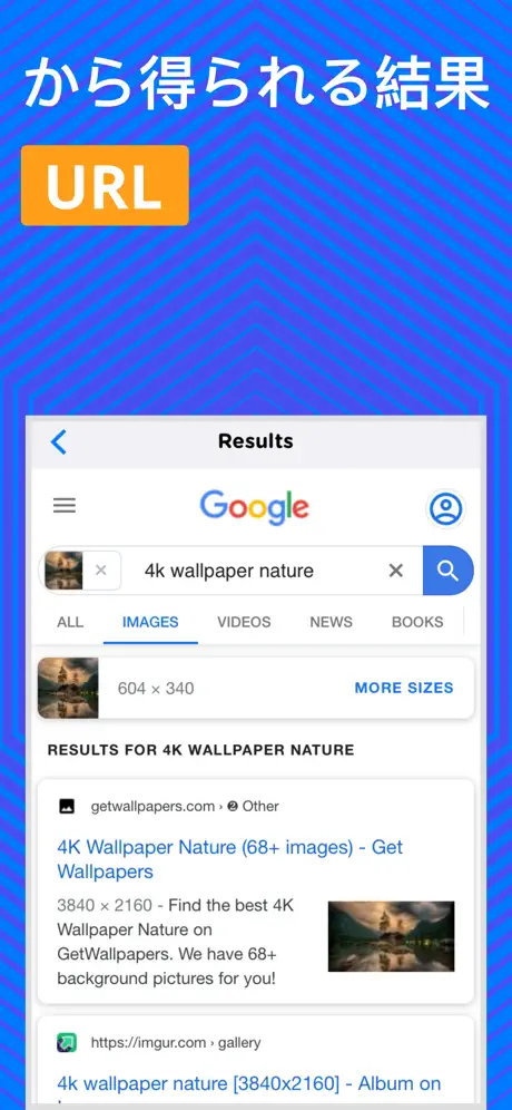 Reverse Image Search - OCR