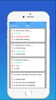 english idioms & phrases iphone screenshot 4