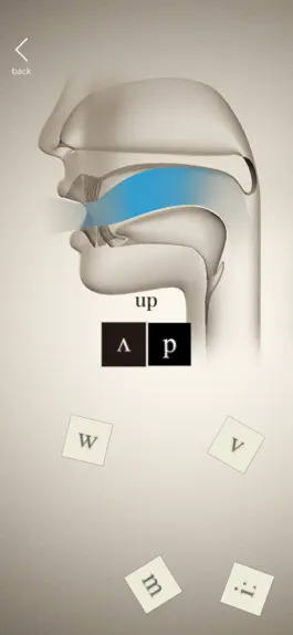 Game screenshot Phonetic Cards apk