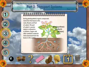 Interactive Photosynthesis screenshot #4 for iPad