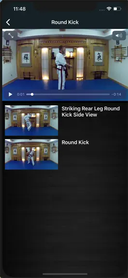 Game screenshot ADAA Karate hack