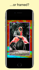 Flood - Photo Effect screenshot