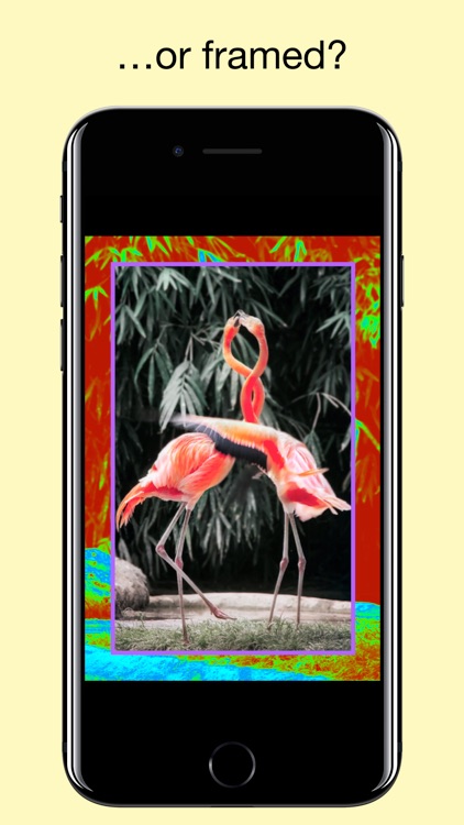 Flood - Photo Effect screenshot-4