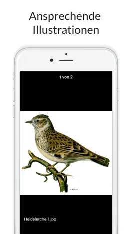 Game screenshot Tierwelt des Alpenraums hack