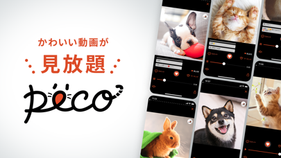 PECO TV(ペコティービー)：可愛いどうぶつ動画のおすすめ画像1