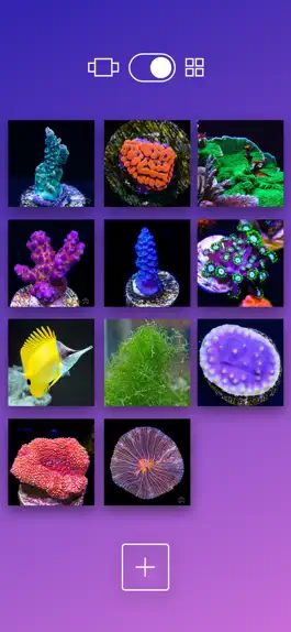 Game screenshot Aquarium Time apk