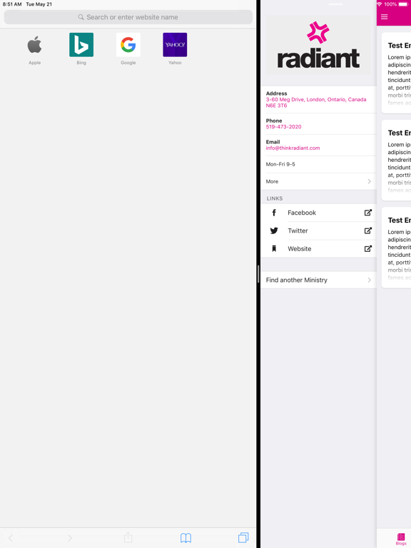 Screenshot #6 pour Radiant WebTools