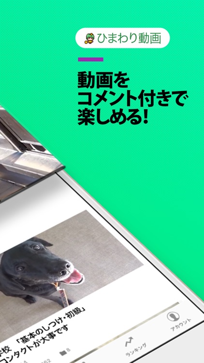 FC2 ひまわり動画viewer