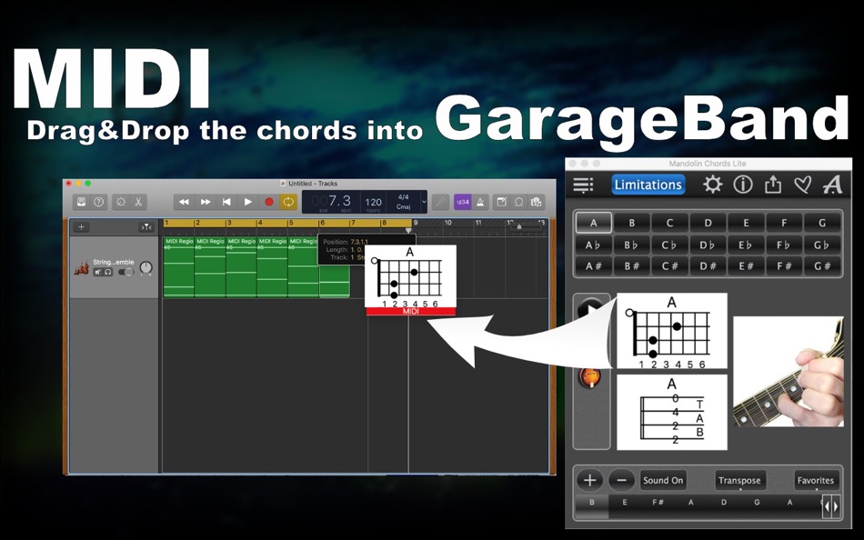 #2. Mandolin Chords Lite (macOS) 게시자: Max Schlee