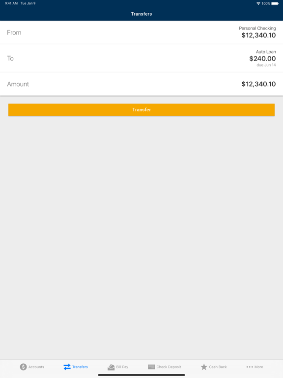 Sunmark Mobile iPad screenshot 3 - Finance app