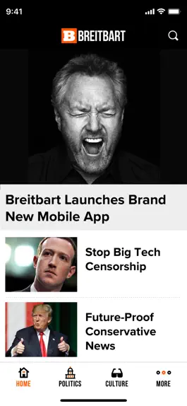 Game screenshot Breitbart mod apk