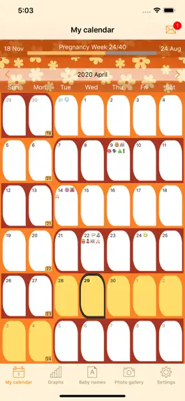 Game screenshot WomanLog Pregnancy Pro mod apk