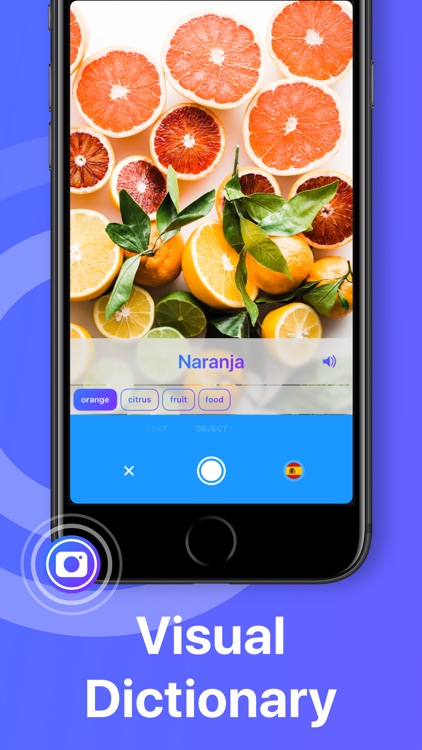 iTranslate Translator screenshot-7