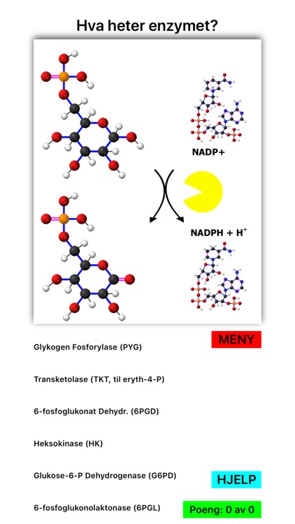 Pentosesyklus screenshot-6