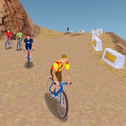 Mountain Bike 3D game