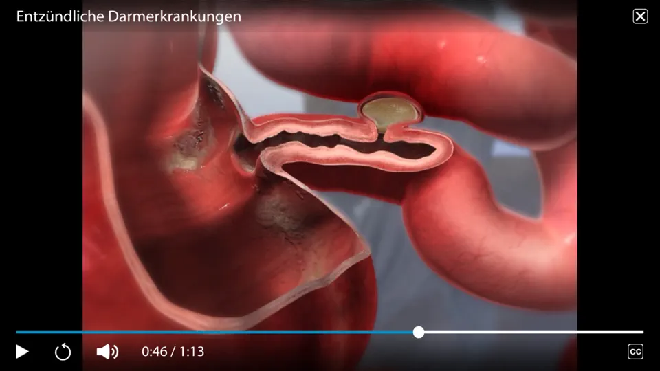 Screenshot von Physiologie & Pathologie auf dem iPhone 8
