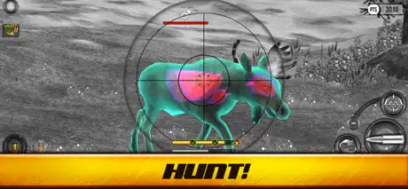 Wild Hunt: Hunter Simulator
