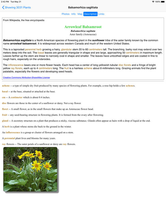 Colorado Wildflower Search iPad screenshot 6 - Education app